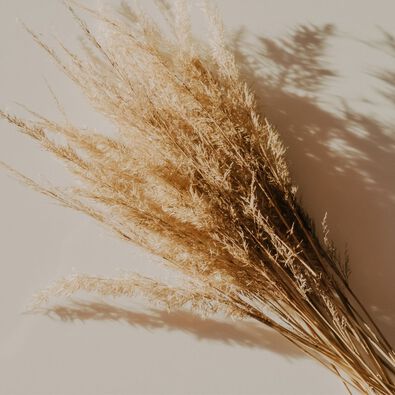 Image without a name