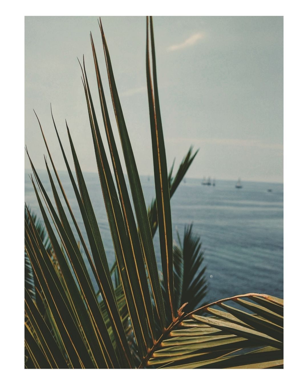 Image without a name