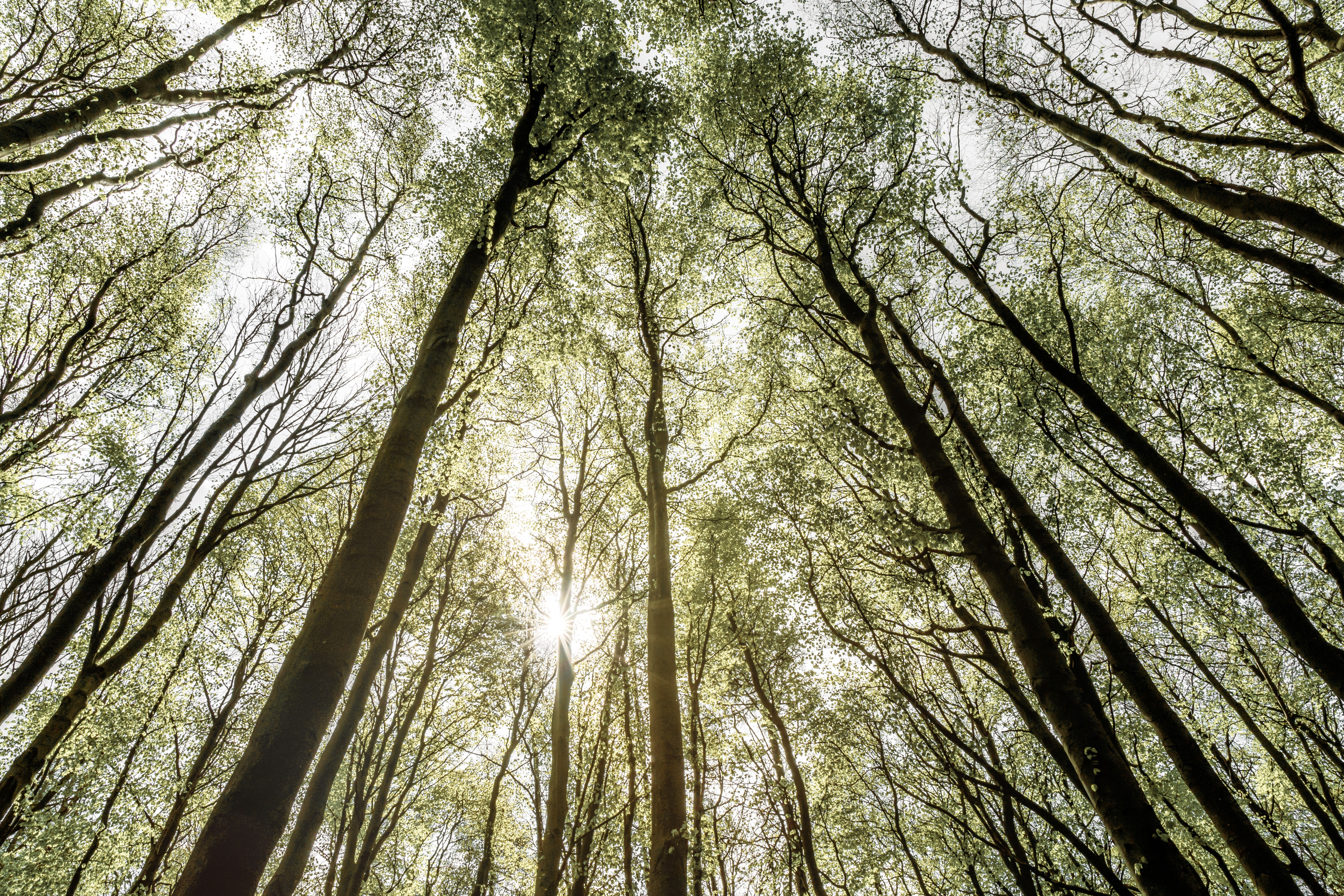 Image without a name