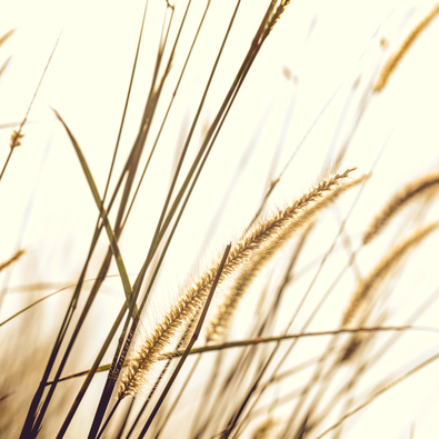 Image without a name