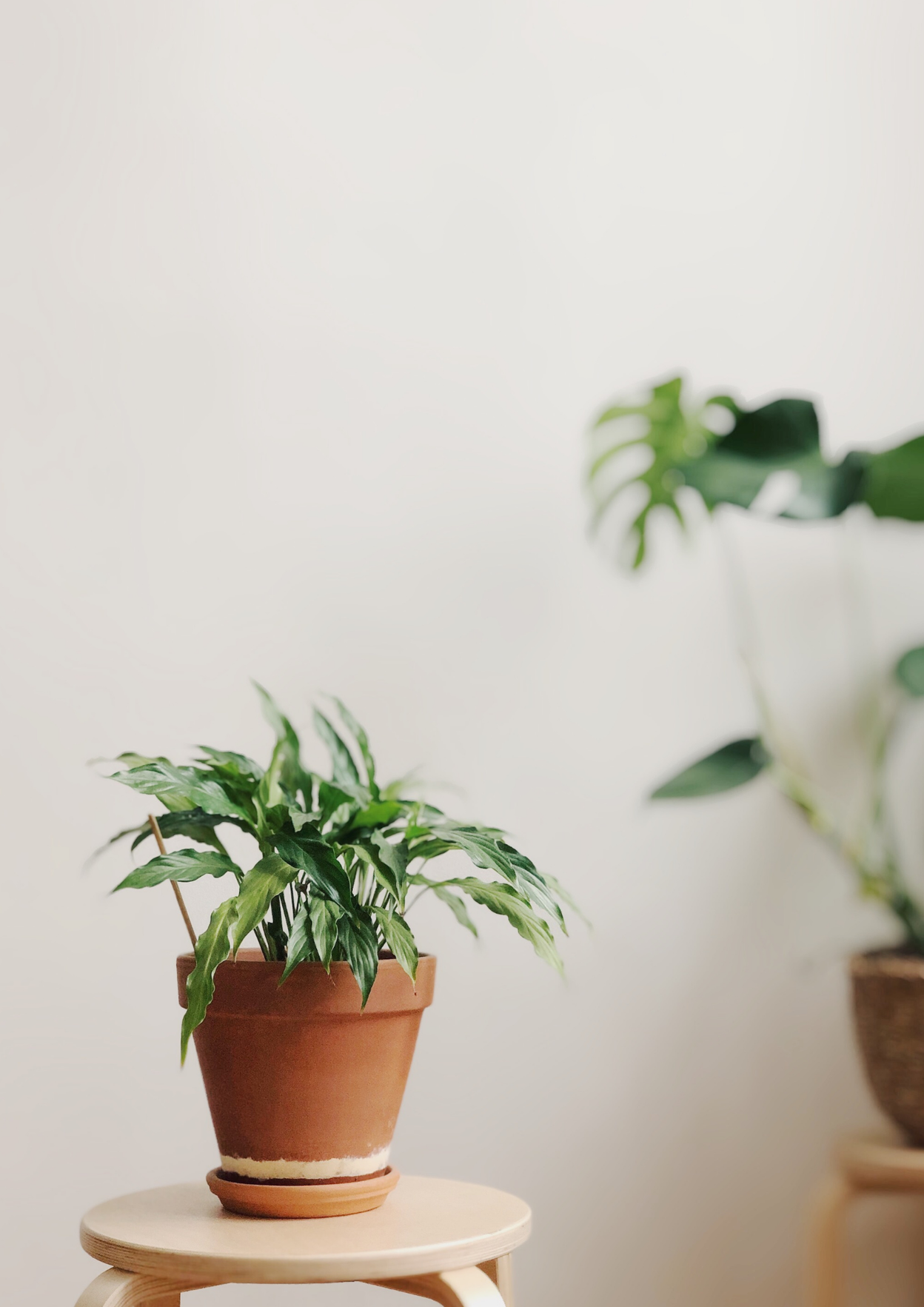 Silvia Jauch liegt auf dem Bauch