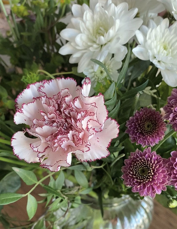 Image without a name