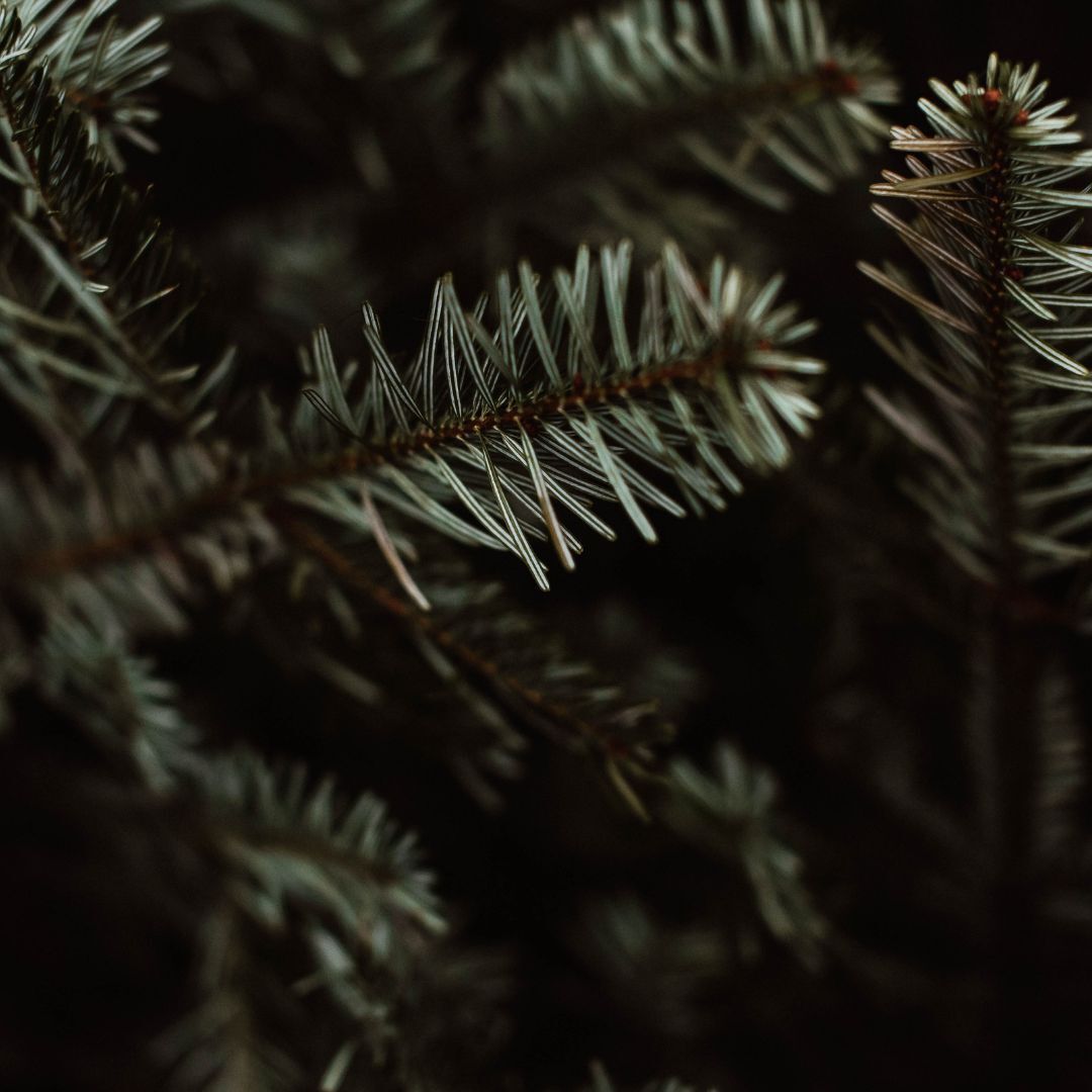 Image without a name