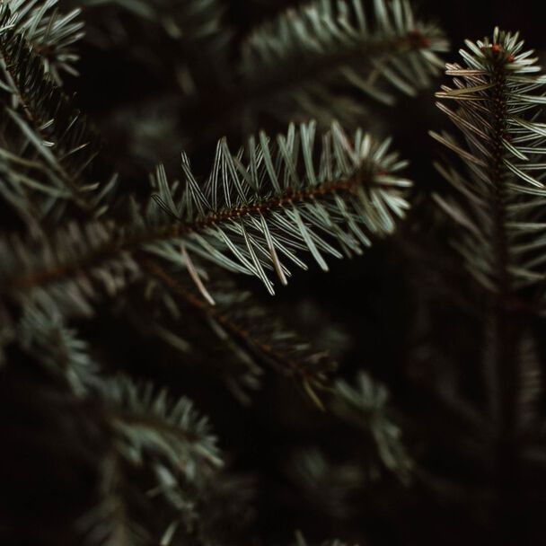 Image without a name