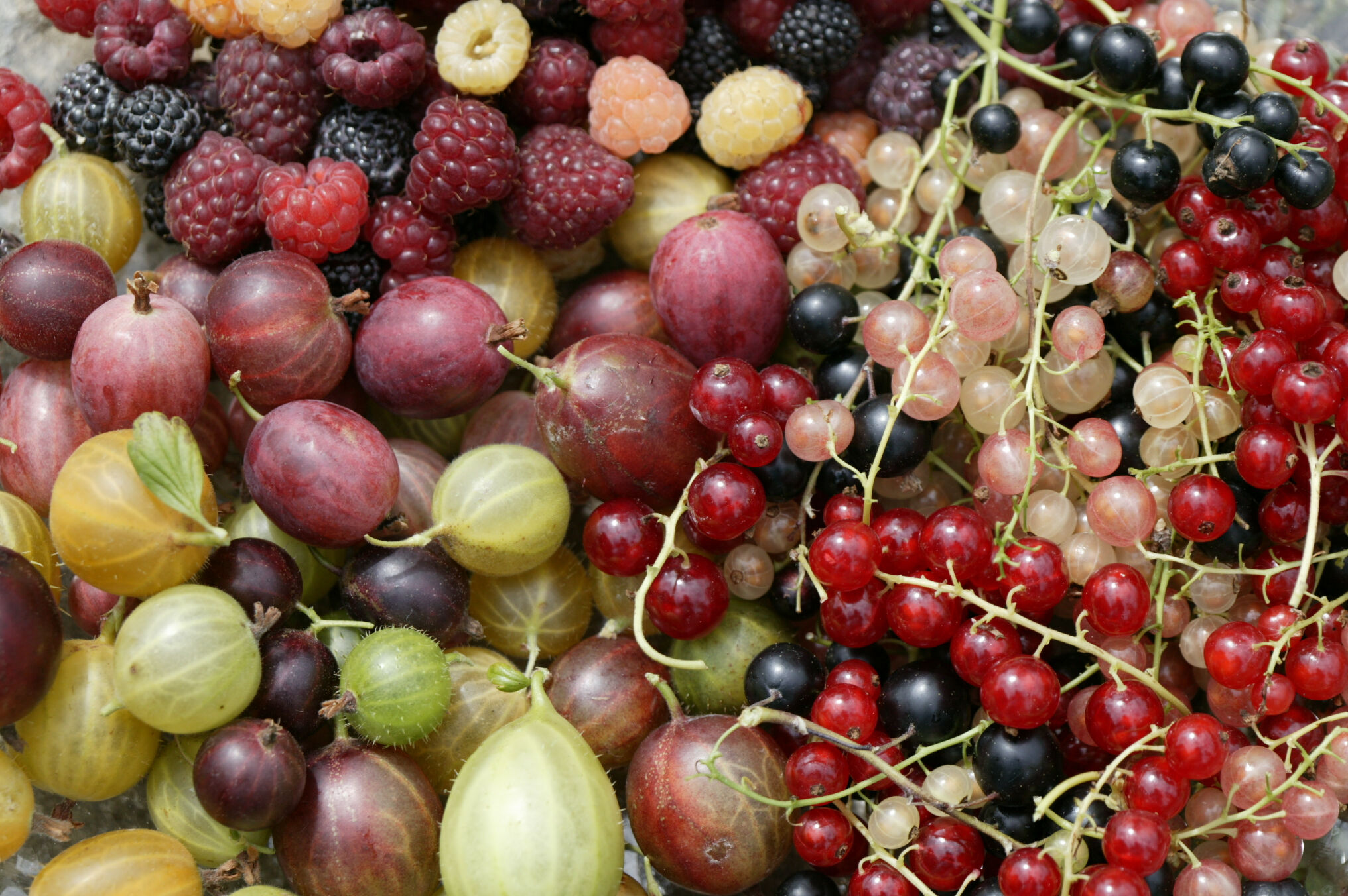 Image without a name