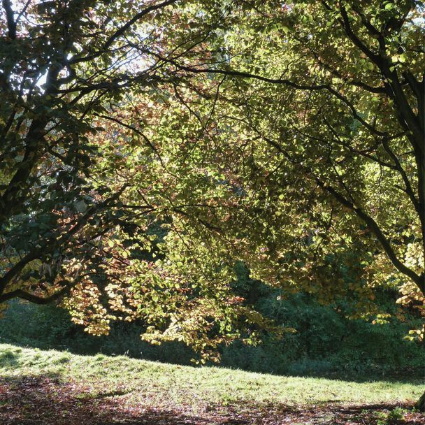 Image without a name