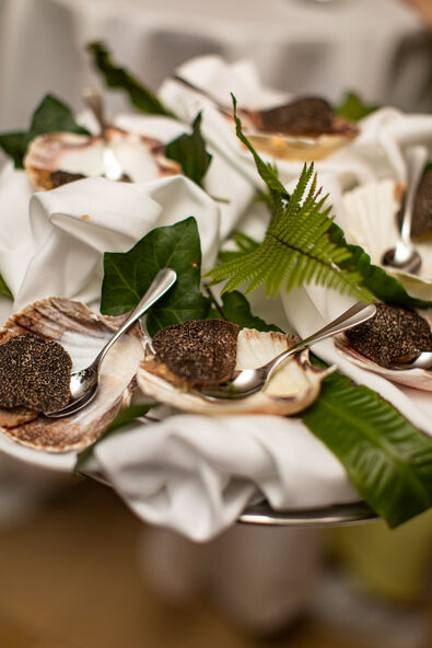 2025.03_70JahreBeldona_KimPham-27