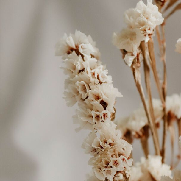 Image without a name