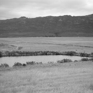 Image without a name