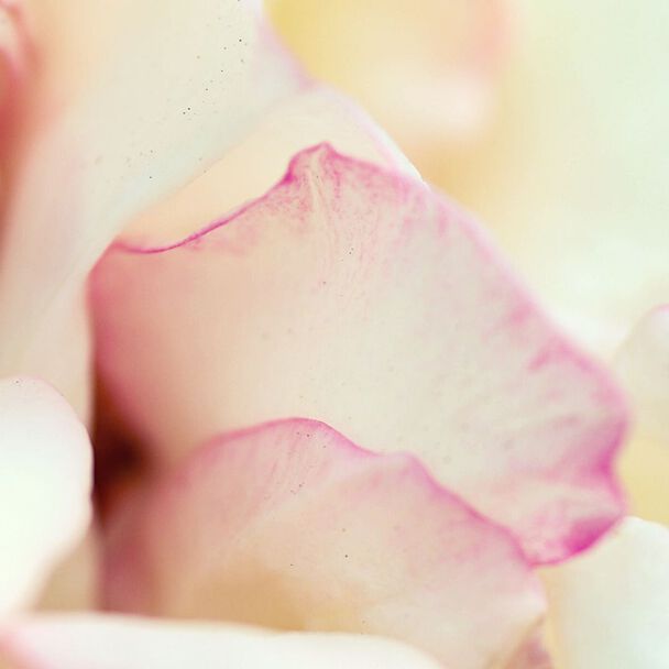 Image without a name